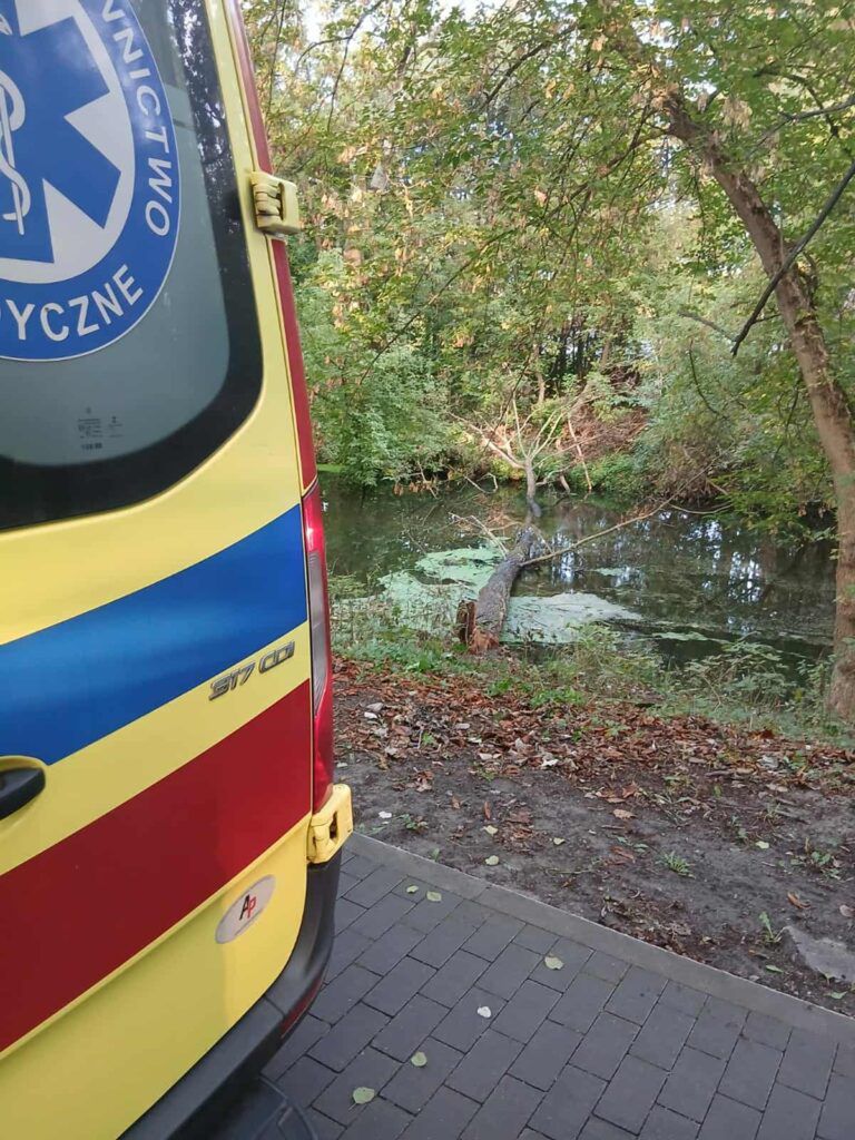 Karetka pogotowia stojąca obok stawu, w otoczeniu drzew i opadłych liści.