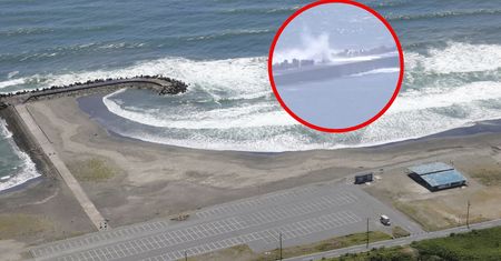 Tsunami na Pacyfiku. Na nagraniach z Japonii widać skalę żywiołu