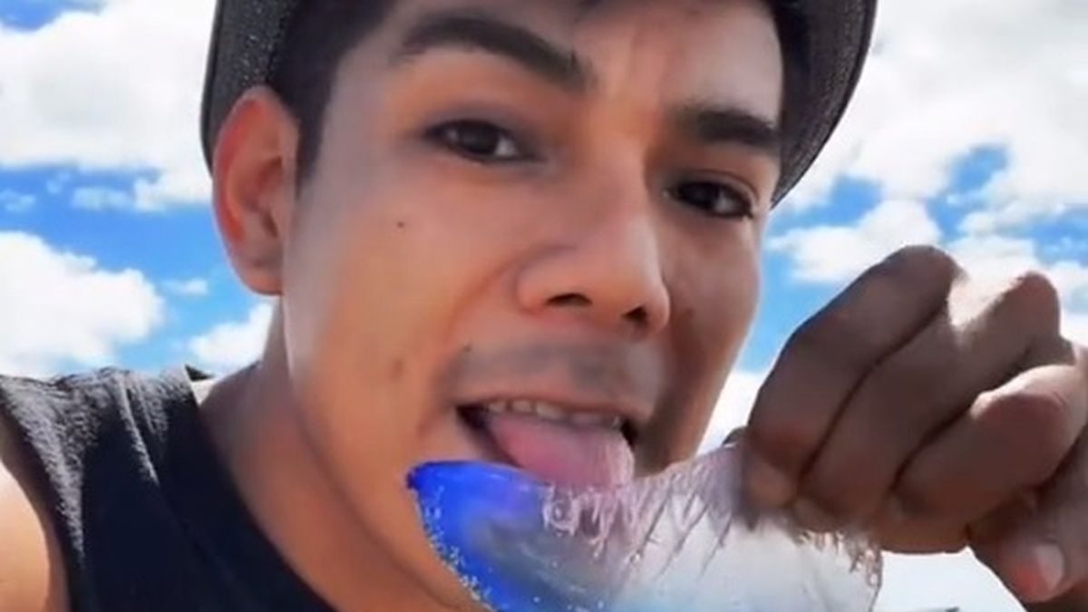 Alexa Reed nie wiedział, że "zabawa" meduzą mogła skończyć się dla niego utratą życia