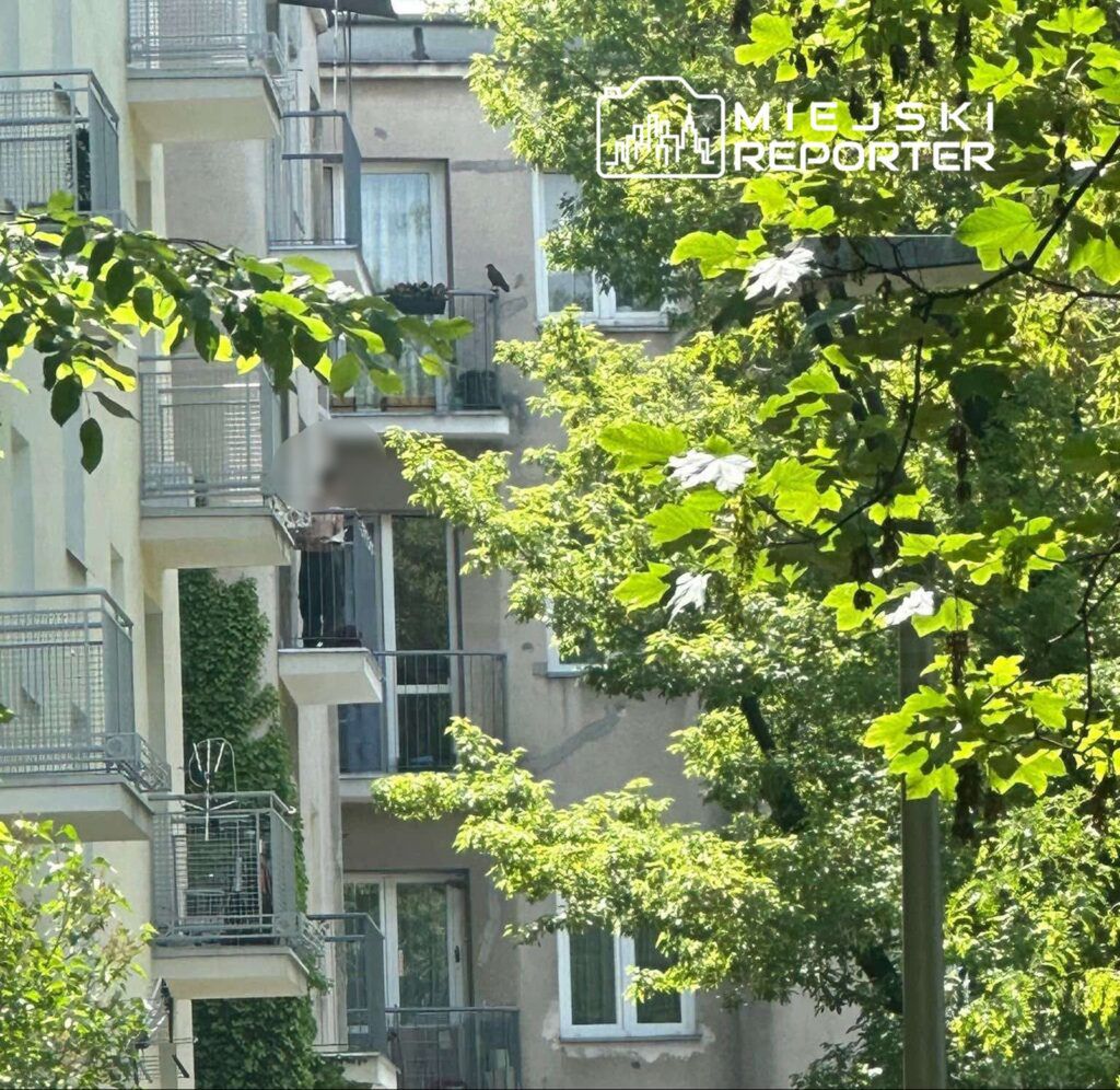 Fot. Czytelnik Miejskiego Reportera