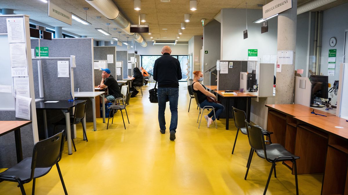 praca urząd urząd pracy bezrobocie oferty pracy zaświadczenia