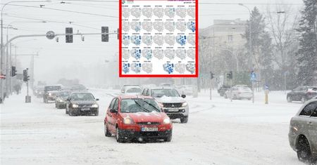 Takich mrozów nie było od lat. Czy powtórzy się 2012 rok?