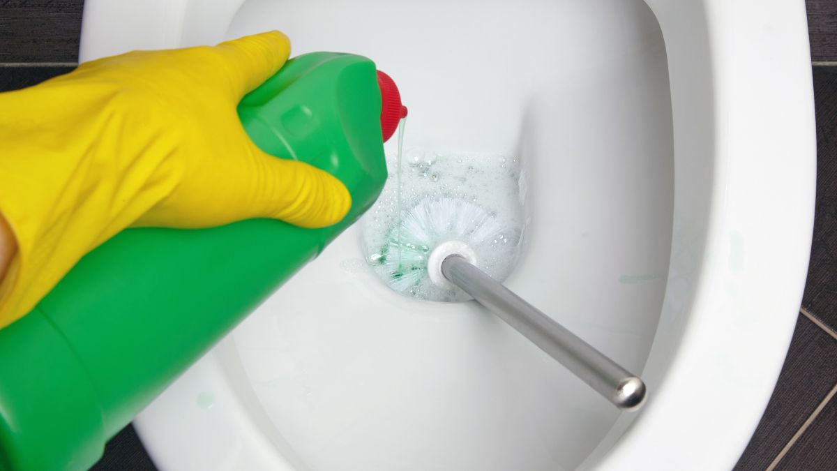 Szczotka do toalety w sedesie.