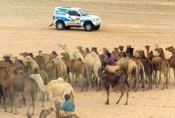 Odwiedzili Mauretanię. Ponad 400 tysięcy na podróże urzędników ministerstwa