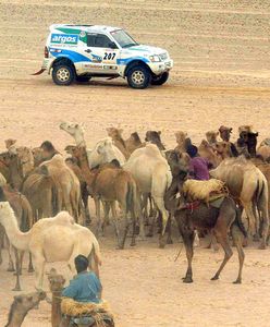 Odwiedzili Mauretanię. Ponad 400 tysięcy na podróże urzędników ministerstwa
