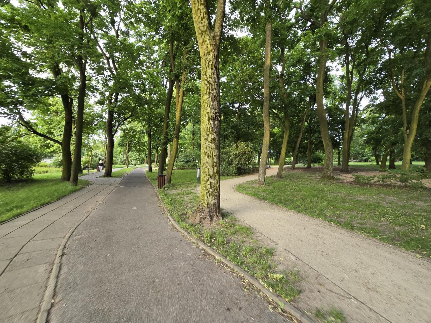 Do ataku doszło w Parku Glazja. To dobrze monitorowany park