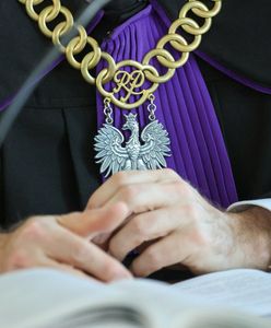 Media: sędzia wjechał autem w drzewo. Był nietrzeźwy