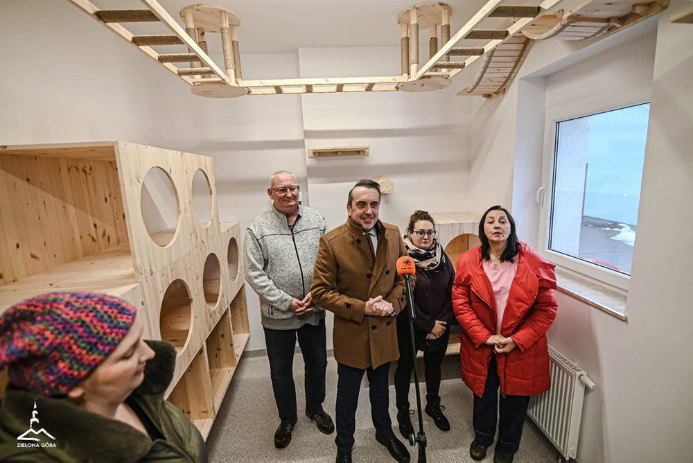 Nowa kociarnia w Zielonej Górze. Koty w schronisku już nie w króliczych klatkach