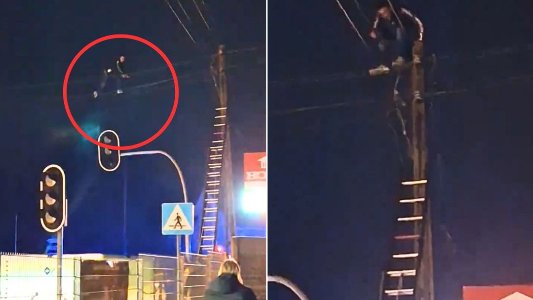 wiadomości,aktualności,WP Wiadomości Dziwne zdarzenie w Gubinie. Wszedł na słup i chodził po przewodach