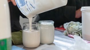 Ależ ten napój przynosi ulgę jelitom. Seniorzy powinni po niego sięgać jak najczęściej