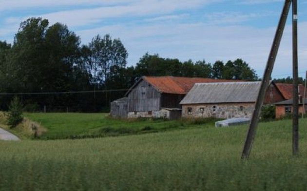 Obraz