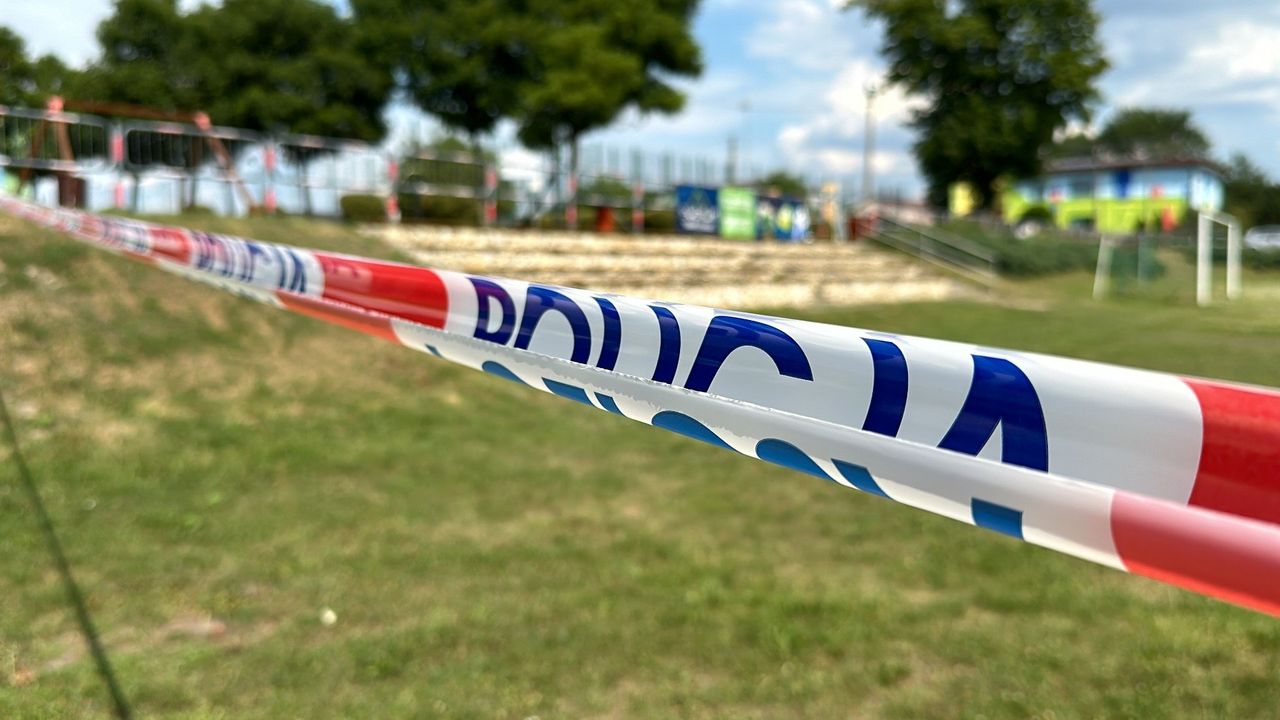 Borowce: To ona ukrywała potrójnego mordercę z Częstochowy. Jacek Jaworek robił jej w domu...remont. 75-letnia Teresa D. oskarżona