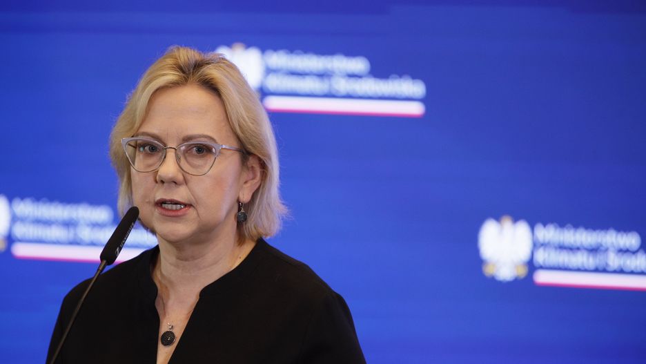 Decyzja w sprawie zamrożenia cen energii ma nastapić po wyborach