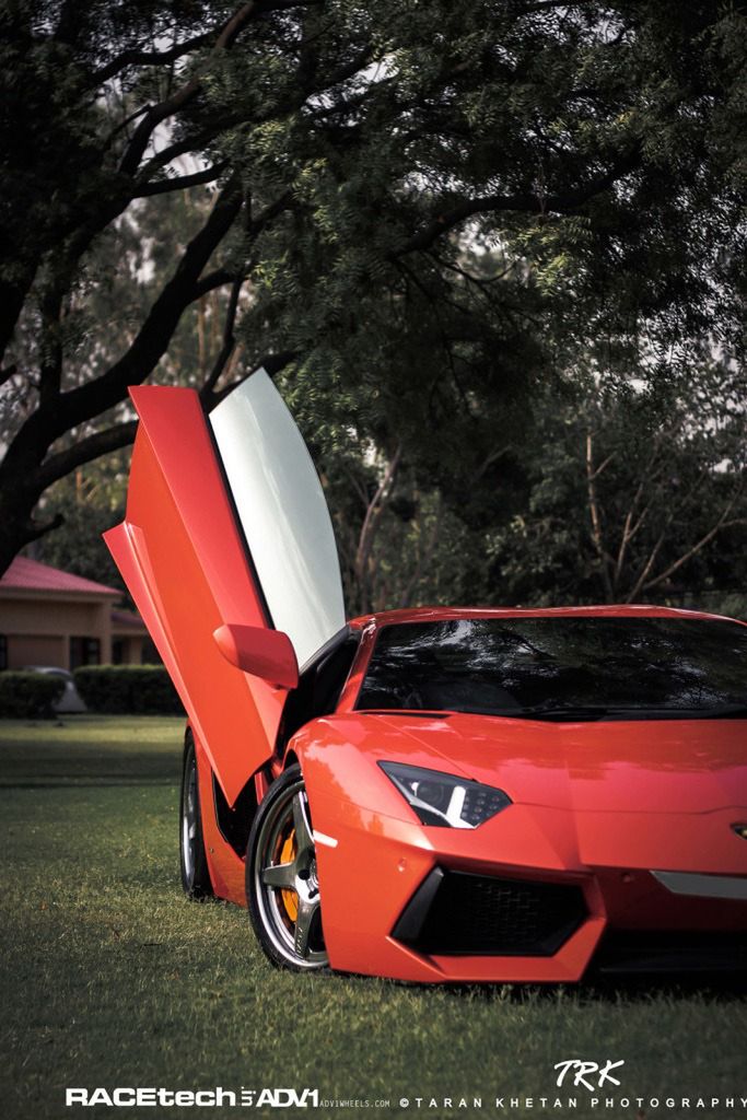 Lamborghini Aventador, felgi ADV.1 i słoń - niecodzienna sesja zdjęciowa [galeria] 26