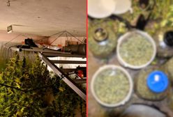 Znaleźli sekretne pomieszczenie. Ogromne odkrycie w piwnicy