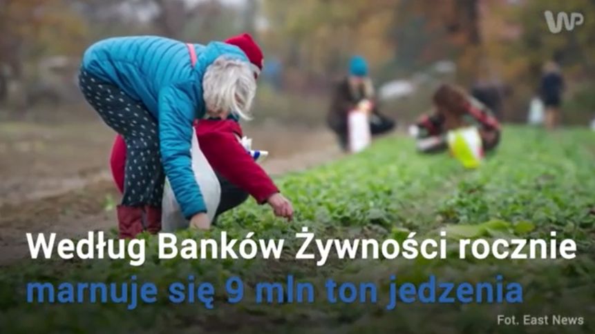 Każdego roku ogromne ilości jedzenia są wyrzucane do kosza