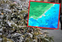 Pogoda na Boże Narodzenie 2022. Nowe prognozy synoptyków