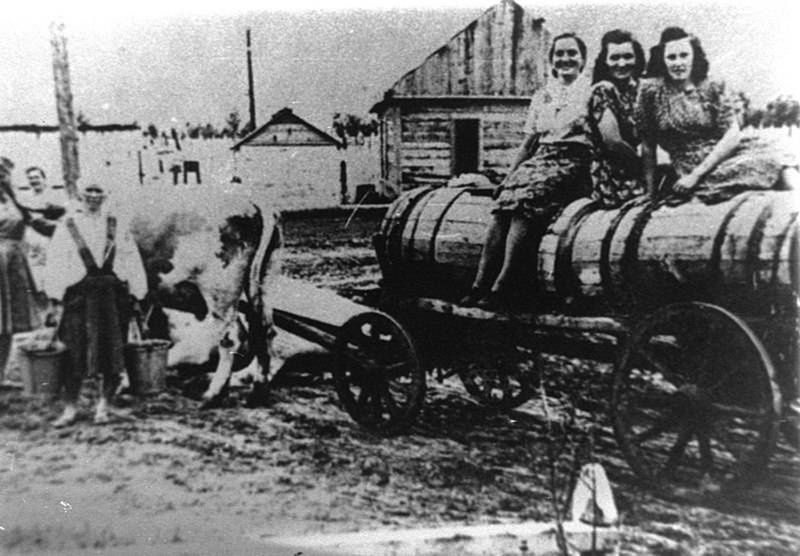Więźniowie łagrów byli niewolnikami. Stosowano zasadę – pracuj i zdychaj (zdj. poglądowe)