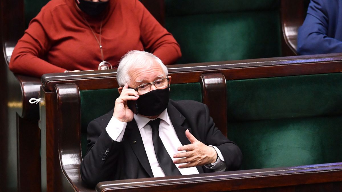 kaczyński
