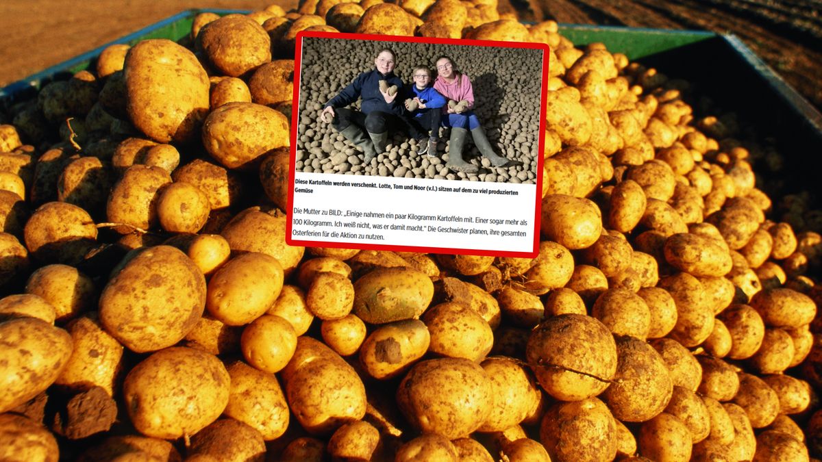 Rodzina z Belgii rozdaje ziemniaki.