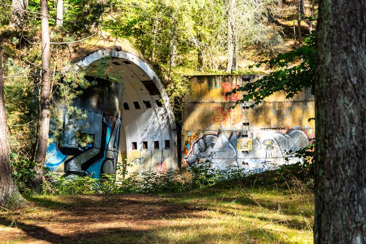 Brzeźnica-Kolonia: wróciłem do bunkrów Obiektu 3002
