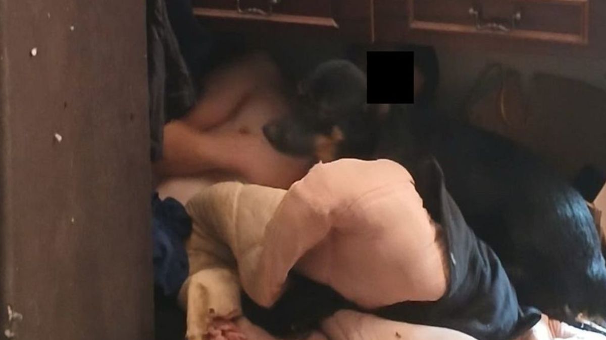 Poszukiwany 28-latek wpadł przez psa.