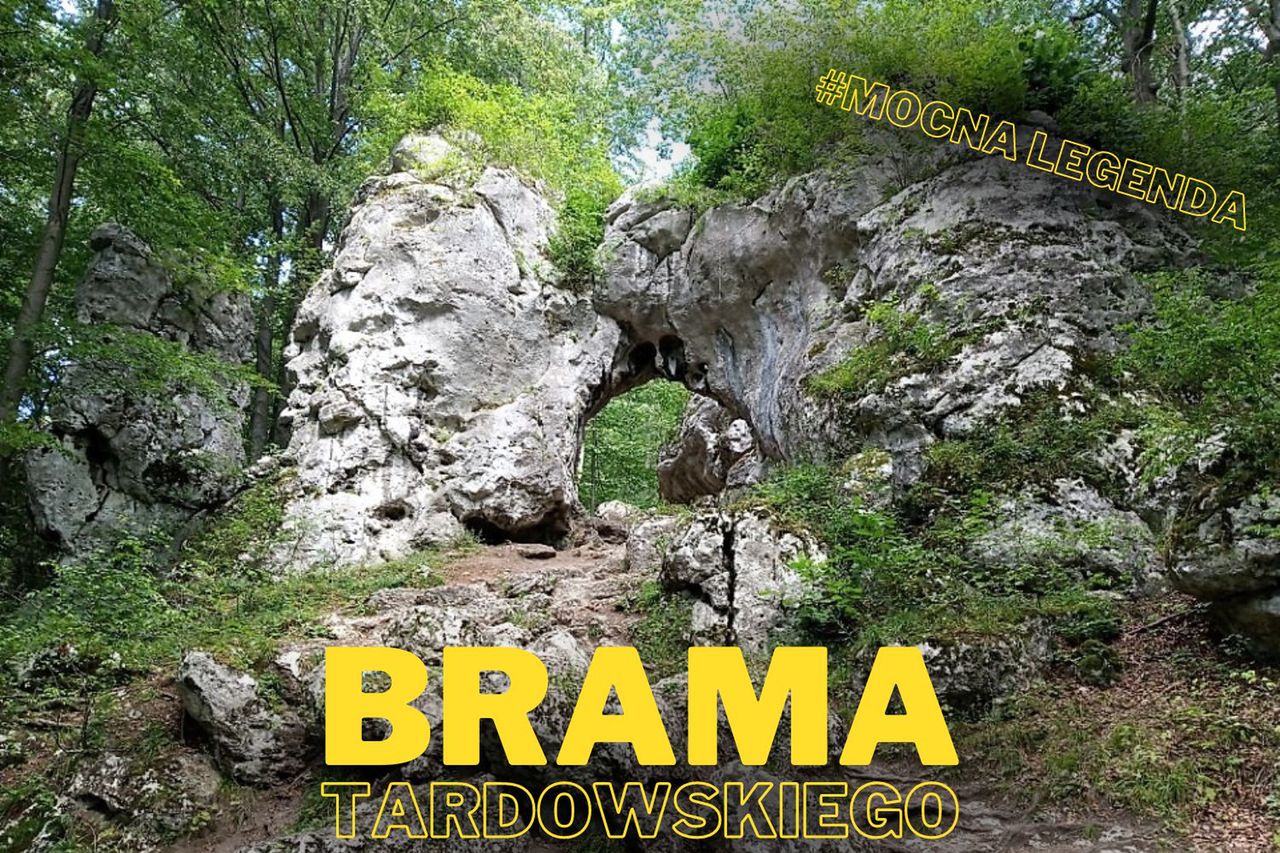 Brama Twardowskiego w Złotym Potoku