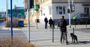 Lubzina: Potrącenie pieszego na DK94. Ruch wahadłowy, są utrudnienia