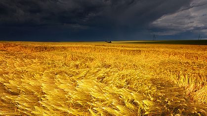 Wakacje na fotografiach - galeria 1