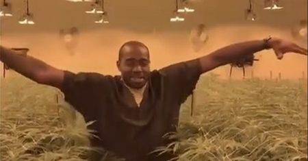 Marihuana przerwała karierę koszykarza. Teraz jest biznesmenem