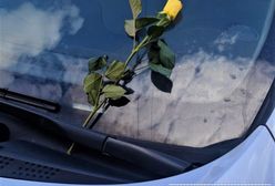 Wrocław. W poszukiwaniu... właściciela róży. Tajemnica, której nie rozwiązała policja