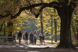 Warszawa. Dzień Wszystkich Świętych. Warszawski Transport Publiczny