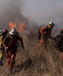 Porażający widok w Los Angeles. Biden wzywa mieszkańców