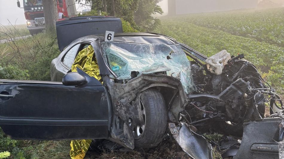 Mercedes zjechał z drogi i uderzył w przydrożne drzewo, w wypadk