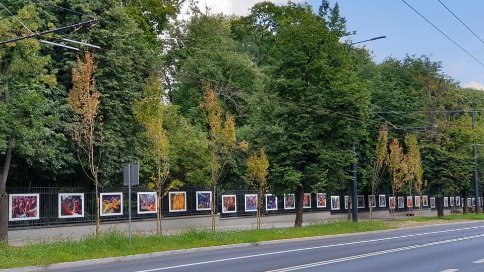 Uschnięte niedawno posadzone drzewa wzdłuż Al. Racławickich