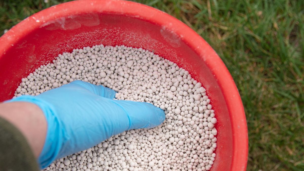 Dlaczego warto wapnować trawnik?