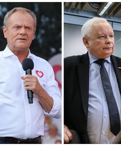 Nowy sondaż. Trzecie miejsce to sensacja