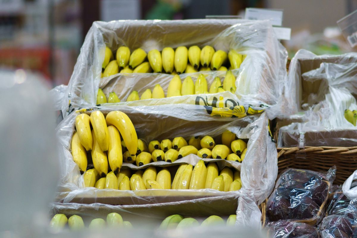 Banany znikną ze sklepów? Winna groźna choroba