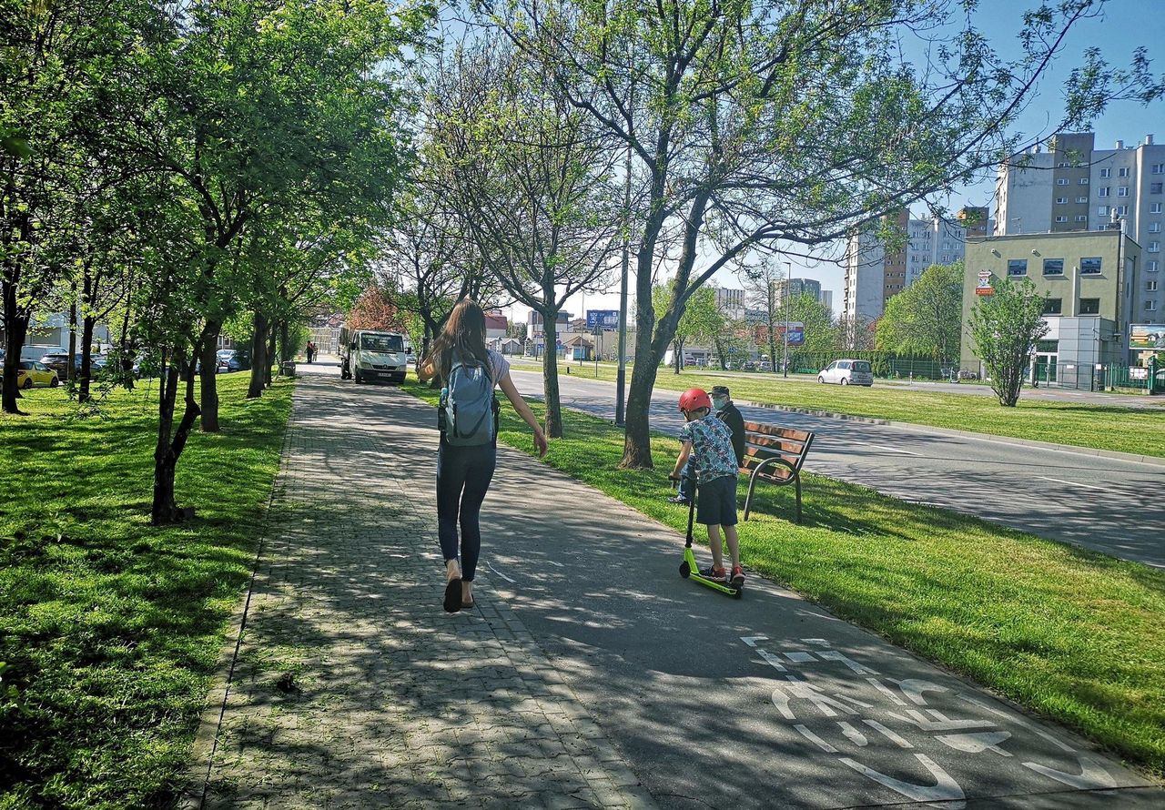 Będzie czuwać nad inwestycjami w Krakowie. Chce "zatrzymać betonozę"