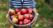 Prawdziwe skutki jedzenia jabłek. Większość z nas nie ma o nich pojęcia