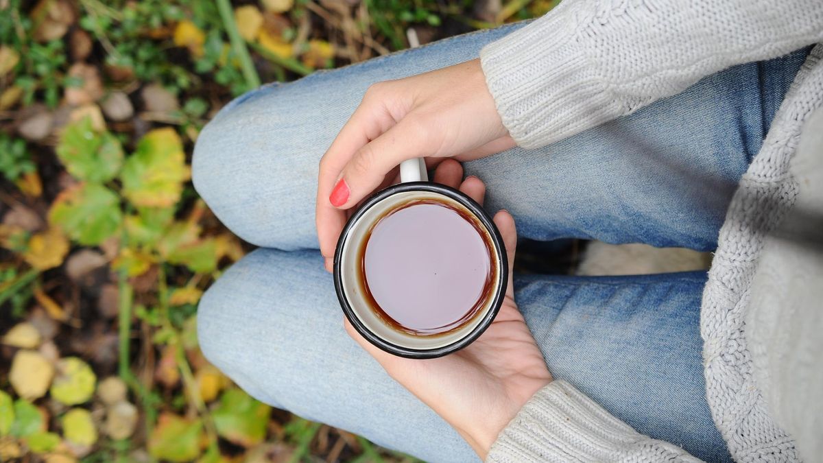 Herbatka na badylach to leśna propozycja na wzmocnienie organizmu i poprawę nastroju