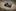 428093657420689324