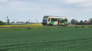 Płock: Kierujący pojazdem dostawczym wjechał pod szynobus