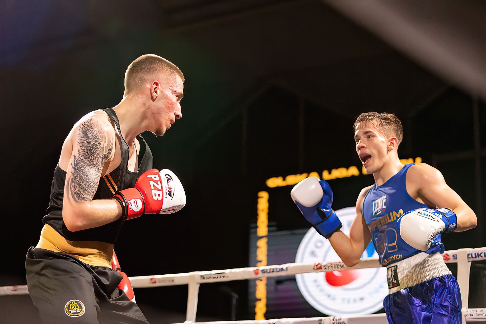 Polska Liga Boksu Pomorzanin Boxing Team - Imperium Wałbrzych