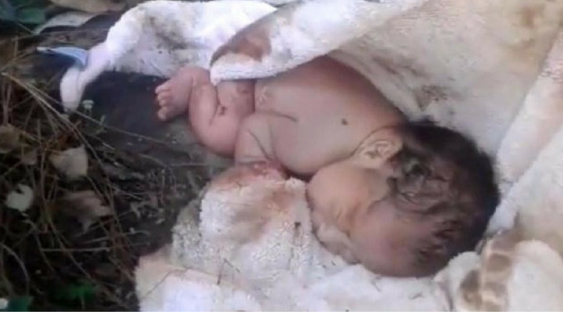 Dziecko porzucone w parku/idailybuzz