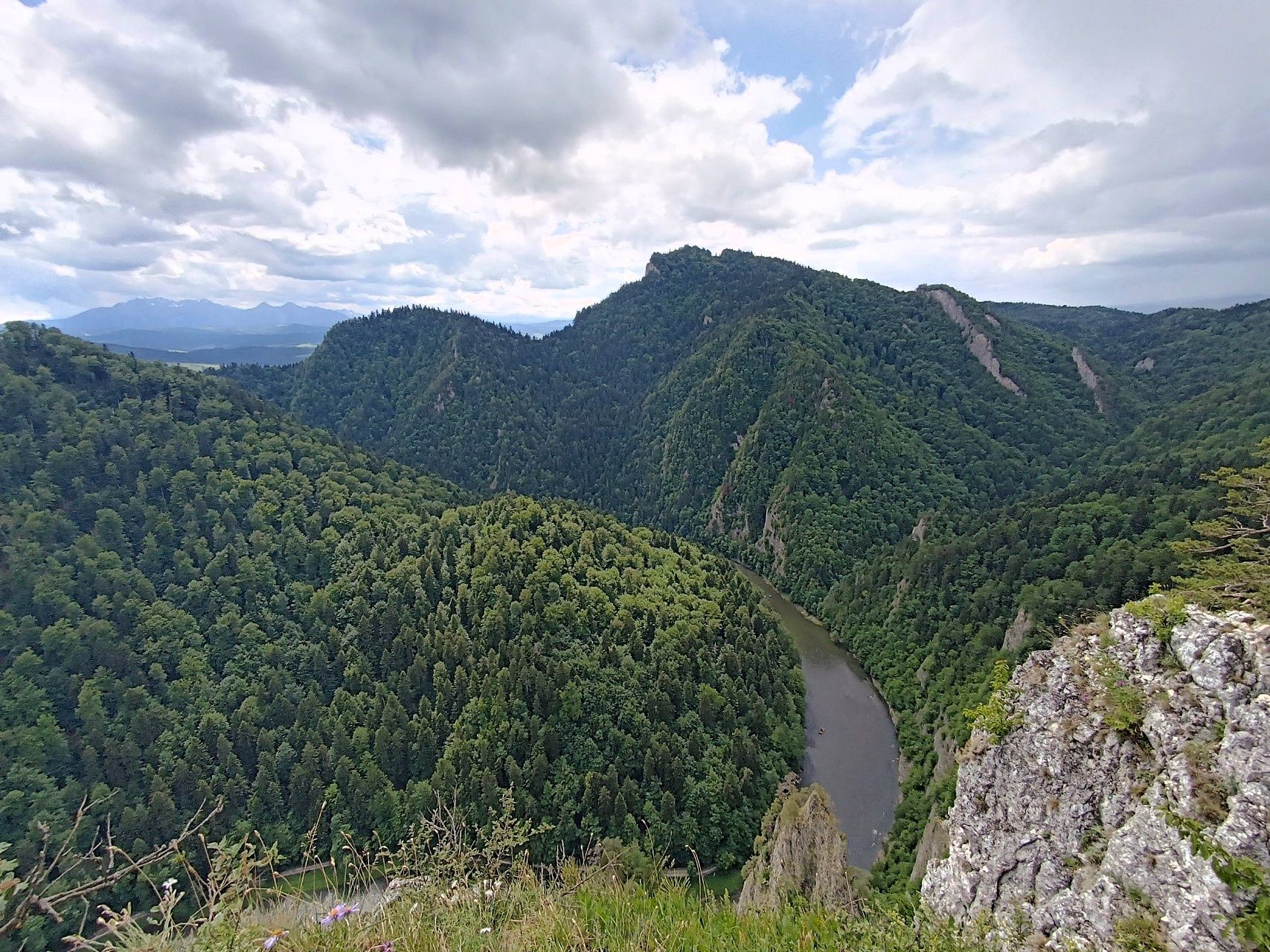 Dunajec zakręca u podnóża stromych, zalesionych zboczy; na pierwszym planie skały Sokolicy