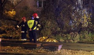 Pawłówek. Tragedia na torach. Pociąg potrącił mężczyznę