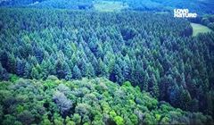 Polska wersja Love Nature w jakości HD na satelicie