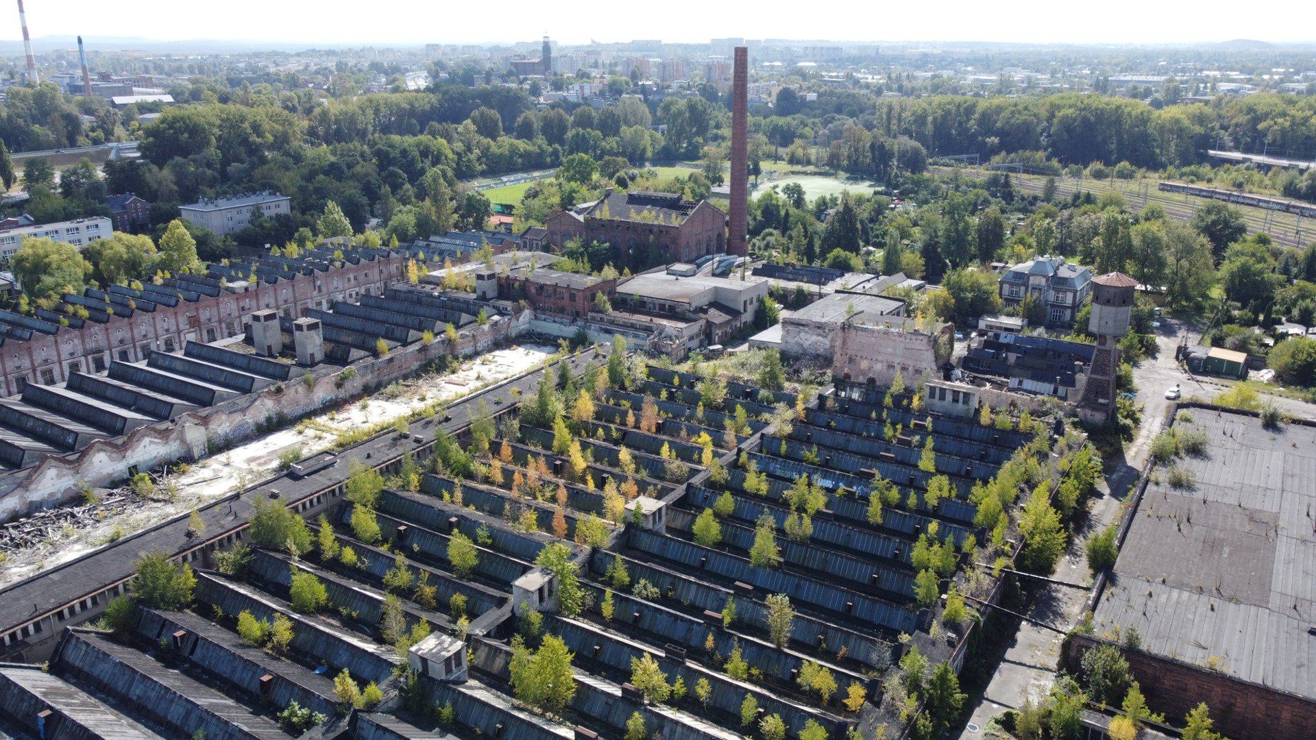 Elanex w Częstochowie