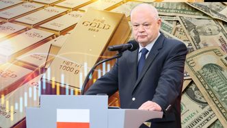 W USA mówią na to "moral hazard". Polskie rezerwy raz tknięte będą kusić znów [OPINIA]